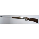 Savage 1899